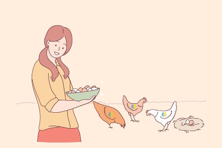 A woman feeding chickens and collecting eggs